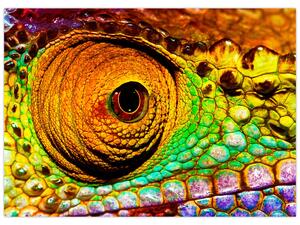 Obraz - Chameleon (70x50 cm)