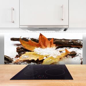 Sklenený obklad Do kuchyne List les jeseň príroda 125x50 cm