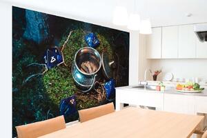 Samolepiaca vliesová fototapeta Dračí brloh, lektvar 375 x 250 cm