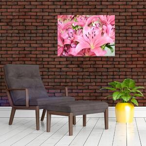 Obraz - Ružové ľalie (70x50 cm)