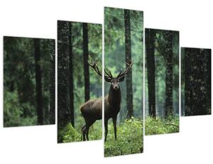 Obraz - Jeleň v hlbokom lese (150x105 cm)