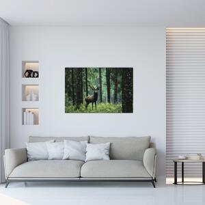 Obraz - Jeleň v hlbokom lese (90x60 cm)