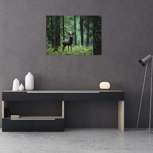 Obraz - Jeleň v hlbokom lese (70x50 cm)
