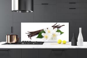 Sklenený obklad Do kuchyne Tyčinka vanilky do kuchyne 125x50 cm
