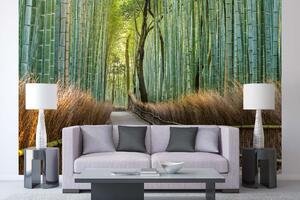 Samolepiaca vliesová fototapeta Bambusový chodník v Japonsku 375 x 250 cm