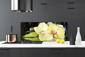 Sklenený obklad Do kuchyne Okvetné plátky orchidea 125x50 cm