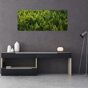 Obraz - Hustý les (120x50 cm)
