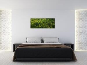 Obraz - Hustý les (120x50 cm)