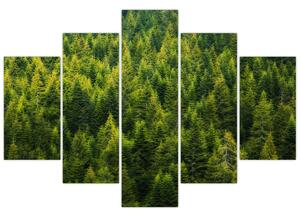 Obraz - Hustý les (150x105 cm)