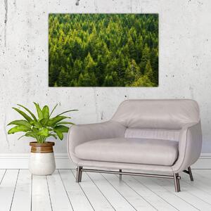 Obraz - Hustý les (90x60 cm)