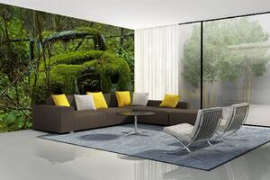 Samolepiaca vliesová fototapeta Auto pokryté machom 375 x 250 cm
