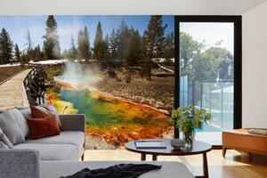 Samolepiaca vliesová fototapeta Yellowstonský park 375 x 250 cm