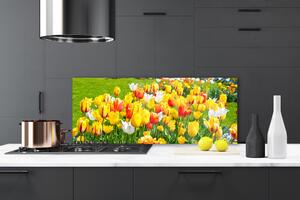 Sklenený obklad Do kuchyne Tulipány kvety príroda 125x50 cm