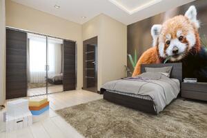 Samolepiaca vliesová fototapeta Roztomilá panda červená 375 x 250 cm