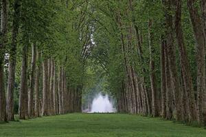 DIMEX | Vliesové fototapety na stenu Park Versailles MS-5-1908 | 375 x 250 cm | zelená, hnedá, šedá
