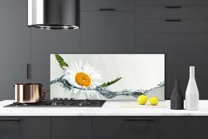 Sklenený obklad Do kuchyne Sedmokráska vo vode 125x50 cm