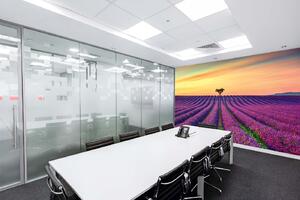 Samolepiaca vliesová fototapeta Kvitnúce levanduľové pole 375 x 250 cm