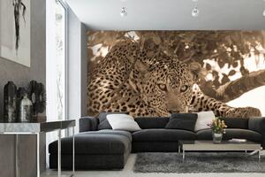 Samolepiaca vliesová fototapeta Sépiový portrét leoparda 375 x 250 cm