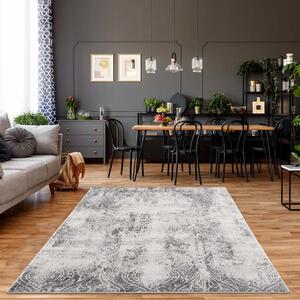 Dekorstudio Moderný koberec NOA - vzor 9318 sivý Rozmer koberca: 160x230cm