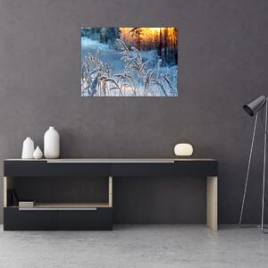 Obraz - Zimná lúka (70x50 cm)