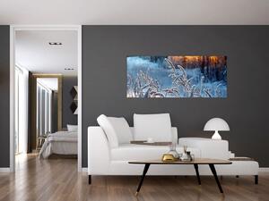 Obraz - Zimná lúka (120x50 cm)