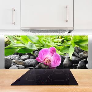 Sklenený obklad Do kuchyne Kvety orchidea kamene zen 125x50 cm