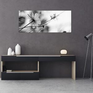 Obraz - Čiernobiele kvety (120x50 cm)