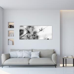 Obraz - Čiernobiele kvety (120x50 cm)