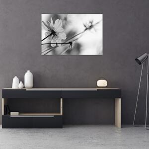 Obraz - Čiernobiele kvety (90x60 cm)