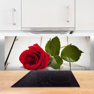 Sklenený obklad Do kuchyne Ruže kvet rastlina 125x50 cm