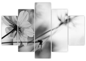 Obraz - Čiernobiele kvety (150x105 cm)