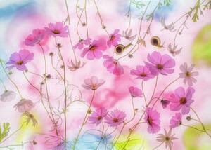 Umelecká fotografie Autumn dream, Miharu, (40 x 30 cm)