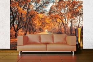 Samolepiaca vliesová fototapeta Cesta jesennou uličkou 375 x 250 cm