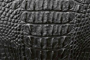 DIMEX | Vliesové fototapety na stenu Tmavá krokodília koža MS-5-2583 | 375 x 250 cm | čierna, šedá