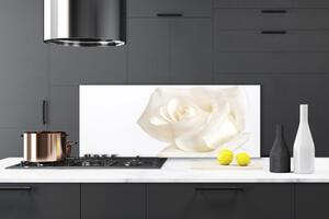 Sklenený obklad Do kuchyne Ruže kvety 125x50 cm
