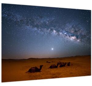 Obraz - Noc v púšti (70x50 cm)
