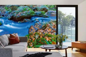 Samolepiaca vliesová fototapeta Belgické Ardeny 375 x 250 cm