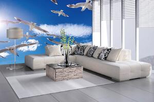 Samolepiaca vliesová fototapeta Letiaci kŕdeľ vtákov 375 x 250 cm