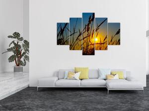 Obraz - Západ slnka v lúke (150x105 cm)