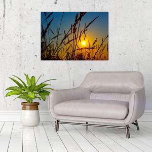 Obraz - Západ slnka v lúke (70x50 cm)