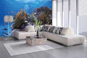 Samolepiaca vliesová fototapeta Kŕdeľ červených rýb 375 x 250 cm