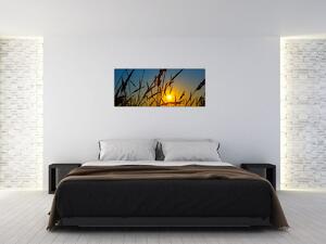 Obraz - Západ slnka v lúke (120x50 cm)