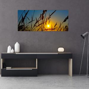 Obraz - Západ slnka v lúke (120x50 cm)