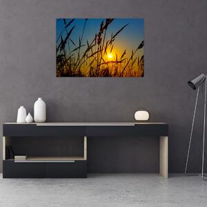 Obraz - Západ slnka v lúke (90x60 cm)