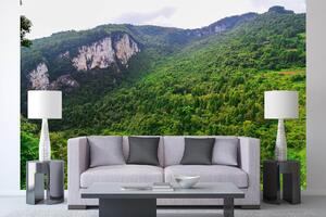 Samolepiaca vliesová fototapeta Wulong, Čína 375 x 250 cm