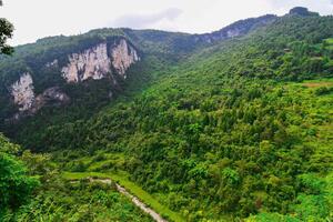 DIMEX | Vliesové fototapety na stenu Wulong, Čína MS-5-1203 | 375 x 250 cm | zelená, hnedá