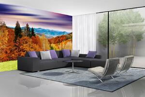 Samolepiaca vliesová fototapeta Majestátny západ slnka 375 x 250 cm