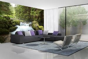 Samolepiaca vliesová fototapeta Tatranský národný park 375 x 250 cm