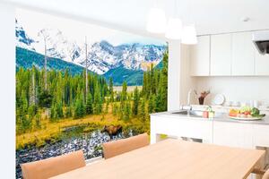 Samolepiaca vliesová fototapeta Žreb na lúke 375 x 250 cm