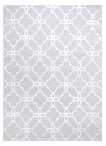 Moderný MEFE koberec 8504 Ďatelina , Kvetiny - Štrukturálny, dve vrstvy rúna sivá / biela